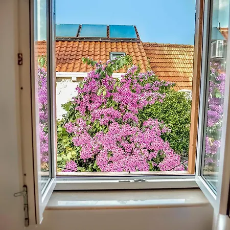 Belvedere Villa *